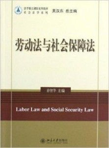 勞動人事代理制度的法律規制與實務探討